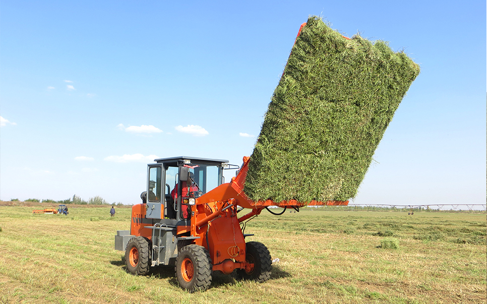 標(biāo)題：9DCK-15方草捆集垛機(jī)
瀏覽次數(shù)：62
發(fā)表時(shí)間：2023-12-12